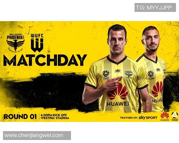 纽卡斯尔喷气机迎战惠灵顿凤凰力争主场胜利展现球队实力